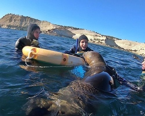 Imagen 1 de Madryn Buceo