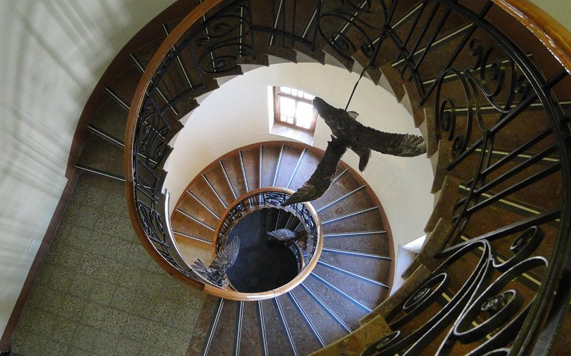 Imagen 1 de Museo Provincial de Ciencias Naturales y Oceanográfico