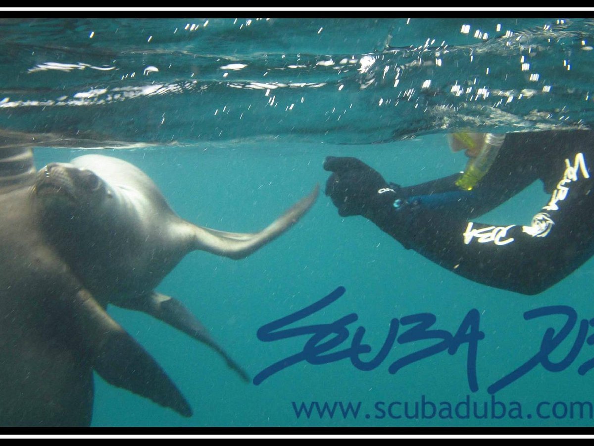 Imagen 1 de Scuba Duba